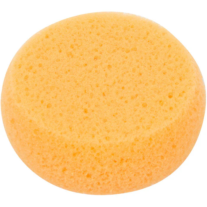 Round Sponge